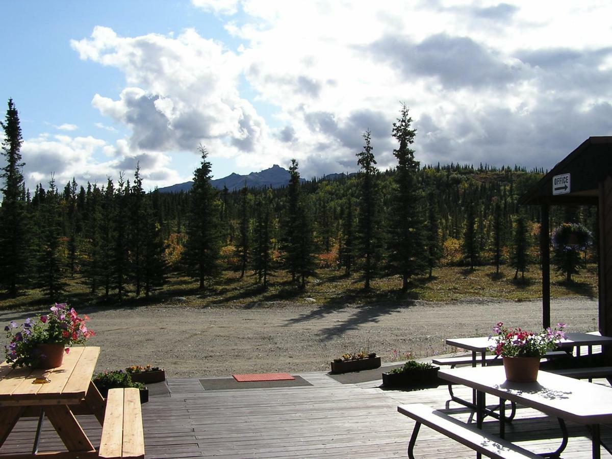 White Moose Lodge Healy Exteriér fotografie