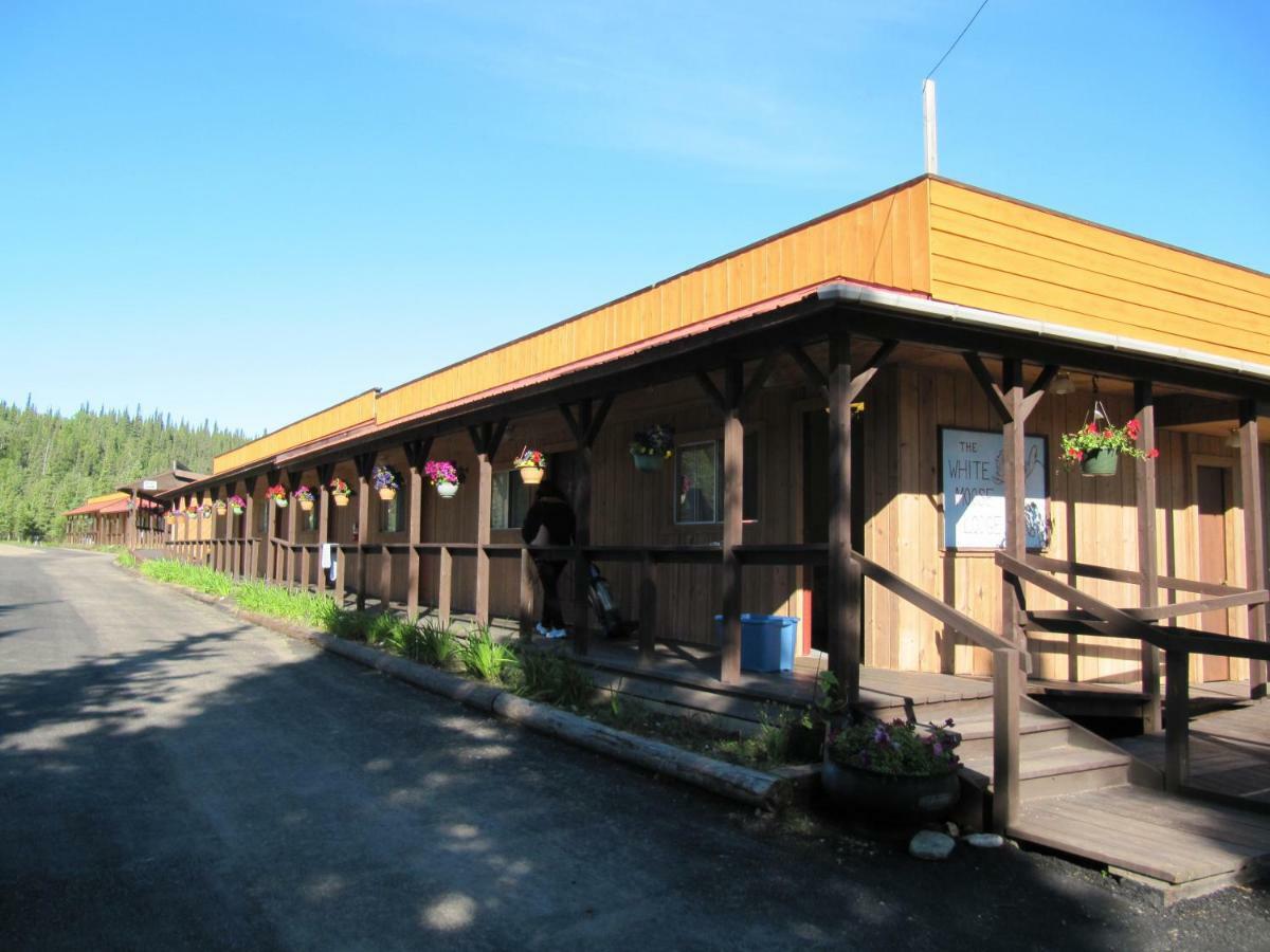 White Moose Lodge Healy Exteriér fotografie