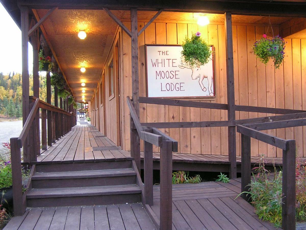 White Moose Lodge Healy Exteriér fotografie