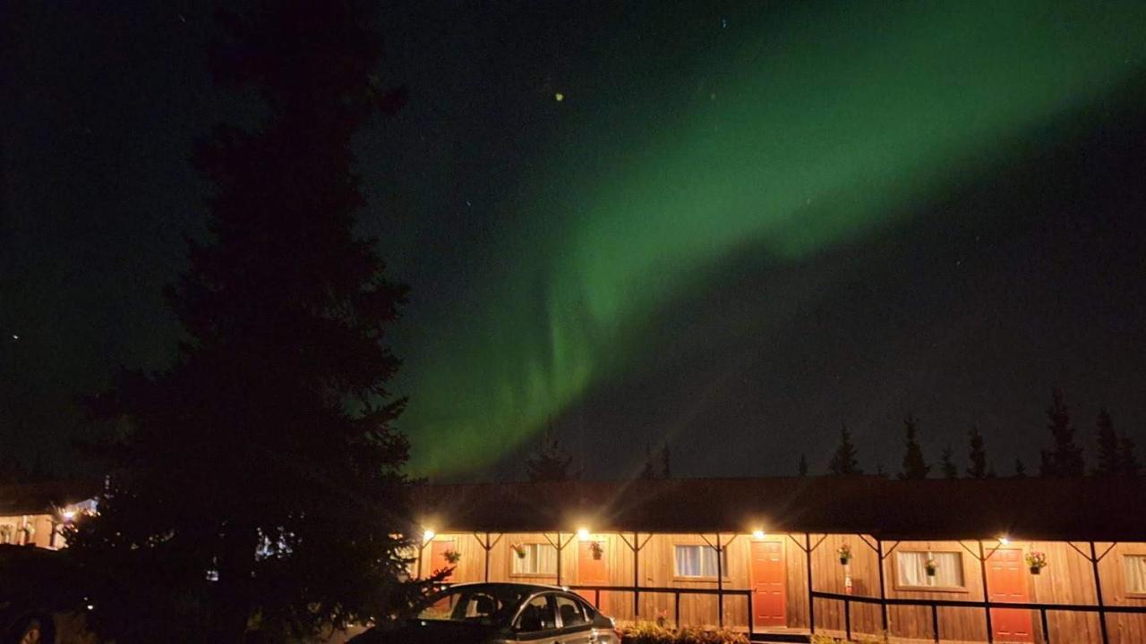 White Moose Lodge Healy Exteriér fotografie