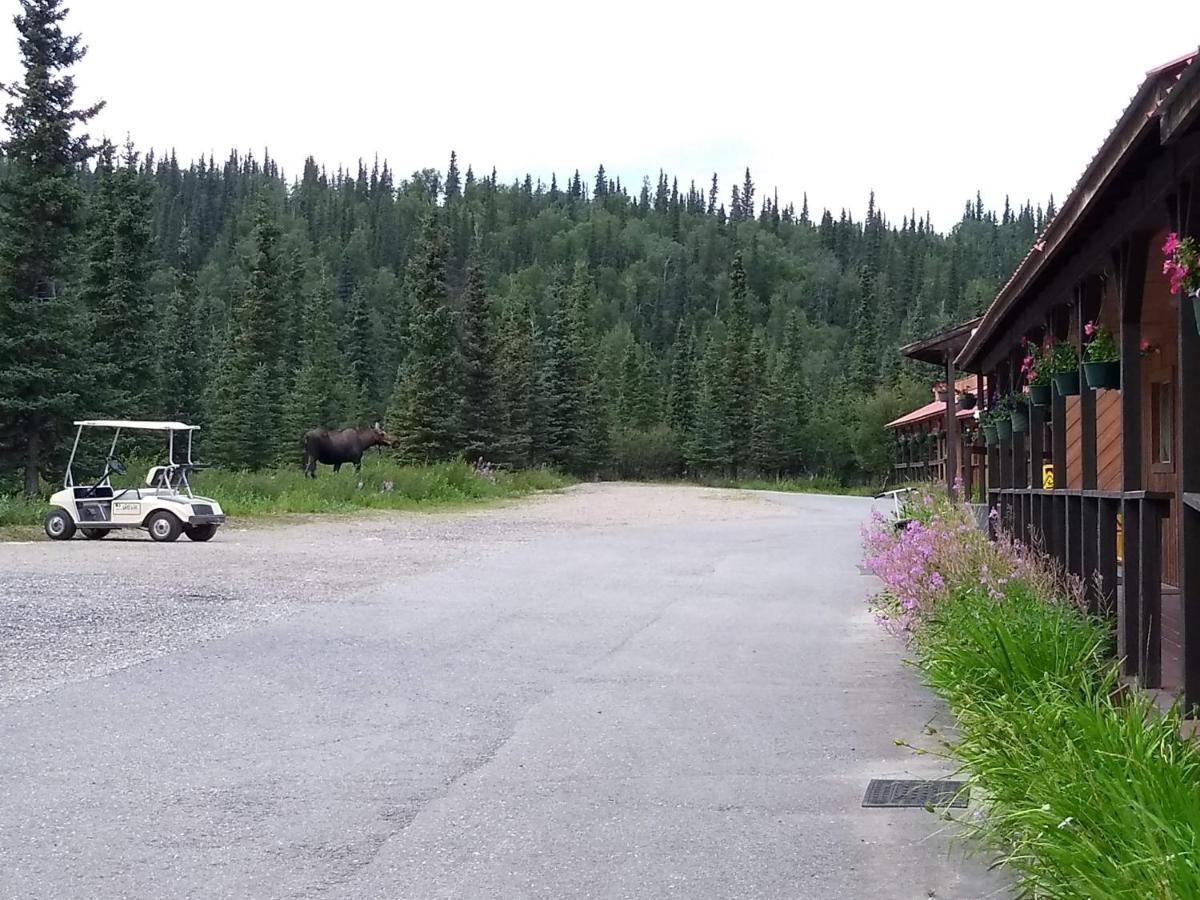 White Moose Lodge Healy Exteriér fotografie